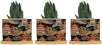 Chinoiserie Coral Asian Ceramic Planters Chinoiserie Chic Asian Pots for Plants with Drainage Holes and Saucers Pot for Home Office Desk Garden by BRUYU5SE
