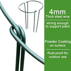 HiGift 12 Pack 10" W x 24" H Plant Stakes for Indoor Plants, Metal Garden Peony Support Cages, Outdoor Plant Supports Ring Prop, Large Plant Stake for Hydrangea,Rose,Flower,Vine,Potted Plants - Image 4