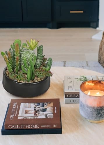 DILATATA Artificial Cactus Plants in Pot 5.5 Inch Fake Succulents Arrangement Potted Plant in Black Ceramic Planter Bowl for Home Office Desk Shelf Living Room Bedroom Bathroom Decor - Image 6