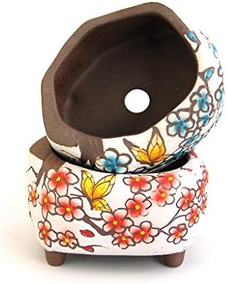 Succulent Pots 5 inch Hand Painted Cactus Plant Pot Clay Pot Flower Pot Planter Container with Drainage Hole Pack of 2 (Blossom Blue and Red) - Image 5