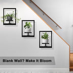 Heavy-Duty Wall Planters for Indoor Plants, Modern Metal Hanging Plant Holders, Picture Frame Wall Plant Shelves for Living Room, Balcony, Patio, Window Garden Décor, 3-Pack - Image 6