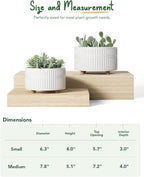 LE TAUCI Succulent Pots, 6.5+8 Inch Ceramic Indoor Plant Pot with Drainage Hole, Shallow Round Succulent Planters, Set of 2, Matte White - Image 3