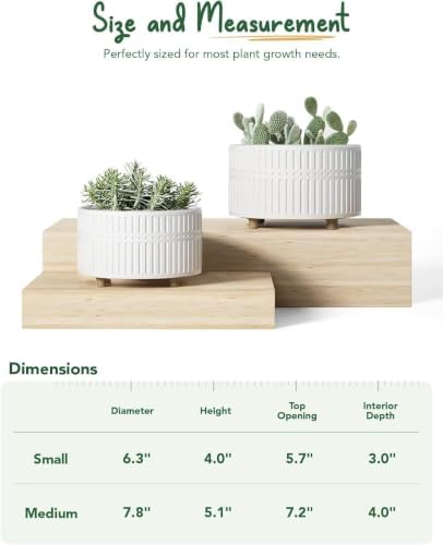 LE TAUCI Succulent Pots, 6.5+8 Inch Ceramic Indoor Plant Pot with Drainage Hole, Shallow Round Succulent Planters, Set of 2, Matte White - Image 3