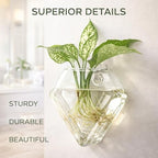 Yungyan 6 Pack Wall Mounted Glass Planter Borosilicate Glass Diamond Hanging Vase with Hidden Invisible Hook Hydroponic Plant Propagation Station Clear Wall Planter for Home Bathroom Office Decor - Image 4