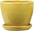Aspen & Fig Marigold Yellow 8 Inch Indoor Ceramic Plant Pot with Attached Saucer and Drainage Hole for House Plants, Herbs, Flowers, Succulents by Unknown