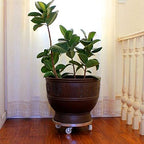 Plant Caddy with Wheels Heavy Duty,440Lb Capacity, Rolling Plant Stand, Planter Caddies Round Large Flower Pot Mover Plant Dolly Holder Planter Trolley Casters,White-25cm/10in - Image 2