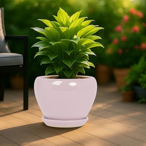 Deep Dream 10 Inch Plant Pot- Ceramic Planter Pot Round Plant Pots for Indoor Plants Outdoor Large Flower Pot with Drainage Holes & Trays, Pink - Image 3