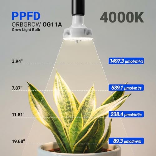 Barrina OG11A Grow Light Bulbs for Indoor Plant, 4000K 11W, 3 Packs, White - Image 2