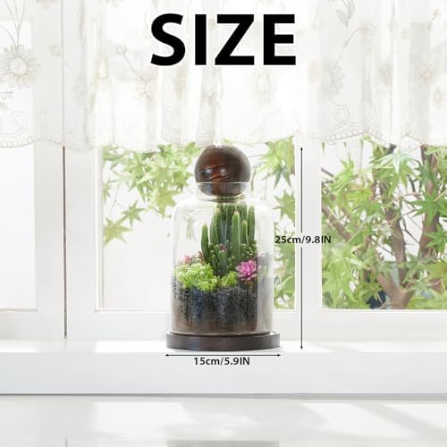 Yangbaga Tall Glass Terrarium Jar: House for Succulent Plant/Moss/Fish - Image 2