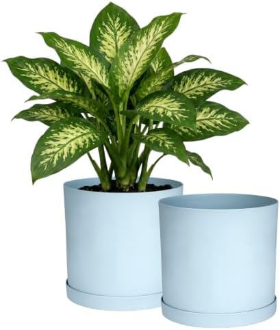 Bloem Mathers 12" Modern Plastic Planter with Saucer, Misty Blue, 2-Pack by Bloem