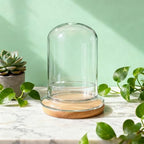 2 Pcs 5.9 x 8.46 Inch Glass Terrarium with Airhole and Base Clear Glass Dome Planter Display Container Plants Not Included for Office Desk, Balcony, Coffee Table - Image 3