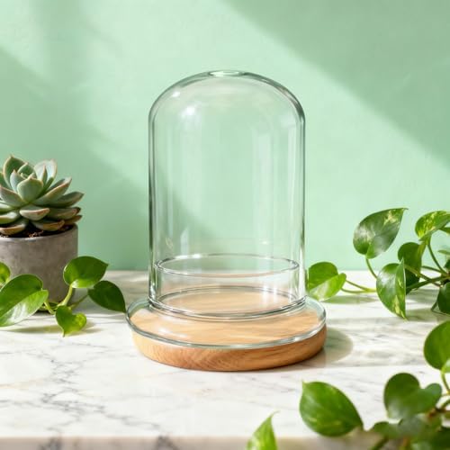2 Pcs 5.9 x 8.46 Inch Glass Terrarium with Airhole and Base Clear Glass Dome Planter Display Container Plants Not Included for Office Desk, Balcony, Coffee Table - Image 3