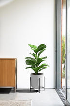 Veradek Mason Series Raised Lima Planter - Round Planter with Stand - Image 4