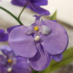 Large Silk Potted Orchid Arrangement in Oval Ribbed Ceramic Pot, Purple - Image 5