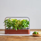 edn Indoor Smart Garden with Basil SeedPods for iOS Devices - Image 2