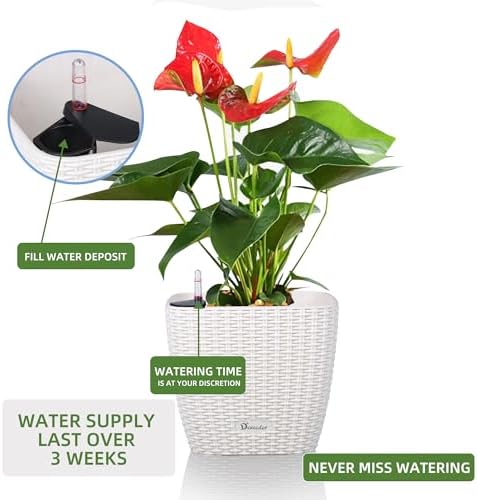 Dexceder 11x10 Self Watering Planter (Ivory White Rattan) - Image 5