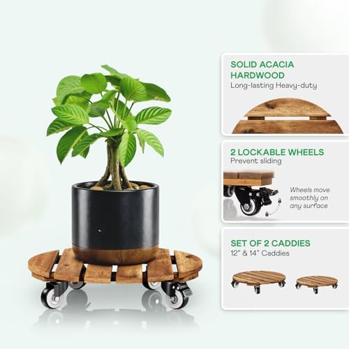 Idzo Combo 12 Inch and 14 Inch Acacia Wood Rolling Round Planter Caddies for Plant Pots, Heavy Duty Plant Stand with 360° Lockable Wheels, 264 lbs Capacity Caddy for Indoor and Outdoor Use, Golden Teak - Image 3