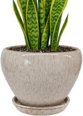 Deep Dream 8 Inch Plant Pots- Ceramic Pots for Plants with Drainage Hole and Saucer, Large Planter Pot for Indoor Plants Outdoor Decor, Beige by DeepDream