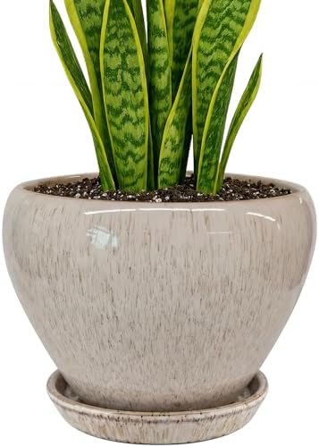 Deep Dream 8 Inch Plant Pots- Ceramic Pots for Plants with Drainage Hole and Saucer, Large Planter Pot for Indoor Plants Outdoor Decor, Beige by DeepDream