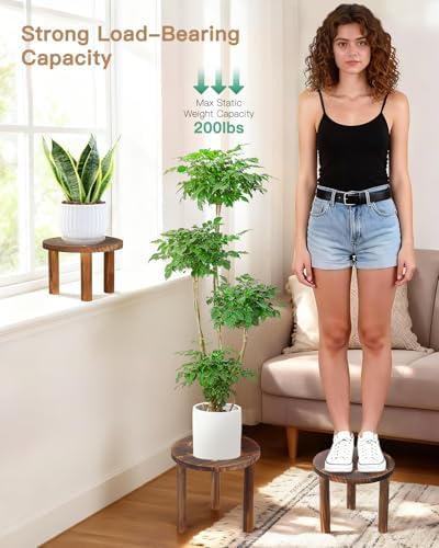 3-Pack Round Wooden Plant Stand Indoor, Heavy Duty Plant Stool - Image 4