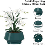8.3 Inch Green Ceramic Planter with Drainage Hole and Saucer - Image 3