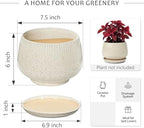7.5 Inch Ceramic Planter with Saucer,Modern Garden Pots with Drainage Hole Mesh Net, for Indoor Outdoor Use (Silk White) - Image 6