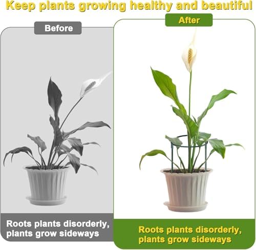 HiGift 4 Pack Height Adjustable Metal Plant Support (36" H or 24" H or 12" H), Heavy Duty Peony Cages and Supports, Half Round Tall Plant Support Ring for Outdoor Indoor Plant Hydrangea Flower - Image 3