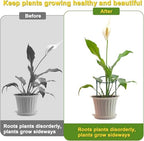 HiGift 4 Pack Height Adjustable Metal Plant Support (36" H or 24" H or 12" H), Heavy Duty Peony Cages and Supports, Half Round Tall Plant Support Ring for Outdoor Indoor Plant Hydrangea Flower - Image 3
