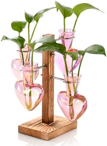 Nacome Plant Terrarium Propagation Stations: Pink Vase with Wooden Stand by Nacome