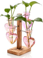 Nacome Plant Terrarium Propagation Stations: Pink Vase with Wooden Stand by Nacome