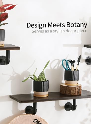 4" Black Ceramic Plant Pots with Drainage Holes & Trays Set of 4 - Image 5