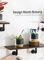 4" Black Ceramic Plant Pots with Drainage Holes & Trays Set of 4 - Image 5