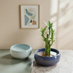 laringExtra1 Lotus Bowl Planter 2 Pack, 7.5in & 6.5in, Shallow Vase - Image 5