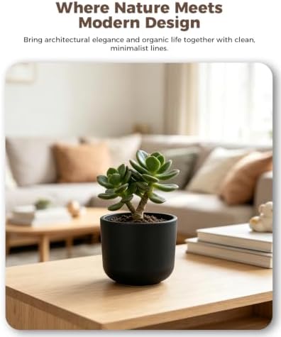 Kante Black Round Concrete Planter 11" Dia for Modern Home with Drainage - Image 2