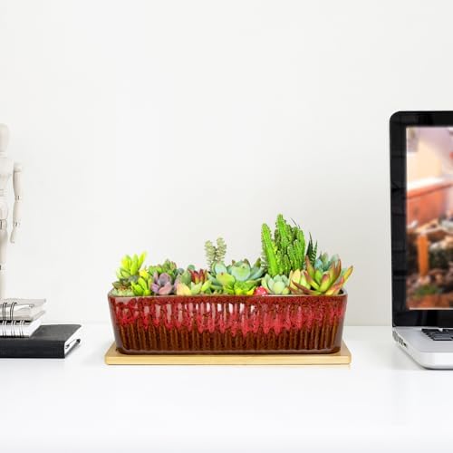 Succulent Pots, 12'' Long Rectangle Planters with Tray, Windowsill Planter - Image 5