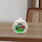 12Pcs Clear Hanging Glass Terrarium Planters for Air Plants Elegant Globe Design for Home Decor Indoor Planters and Garden Decoration - Image 6