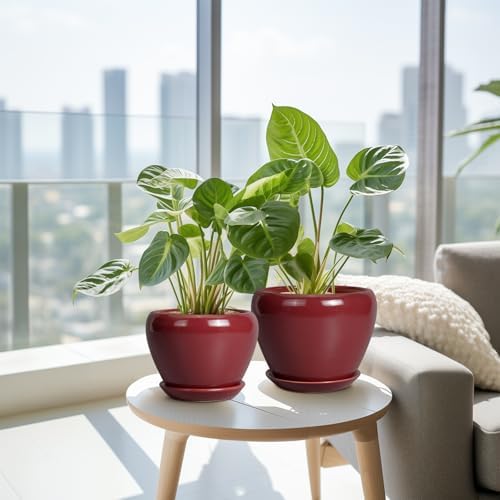 Ceramic Pots for Plants - 10 Inch 8 Inch 6 Inch Plant Pots with Drainage Holes and Saucers Large Planters for Indoor Plants Decorative Outdoor Flower Pots Set of 3 Red - Image 4