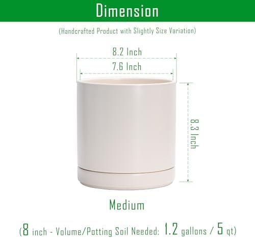D'vine Dev Set of 2 Plants Pots, 8.2 Inch Ceramic Planter Pot for Plants with Drainage Hole and Saucer, Oatmeal, 94-V-D-8 - Image 3