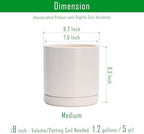 D'vine Dev Set of 2 Plants Pots, 8.2 Inch Ceramic Planter Pot for Plants with Drainage Hole and Saucer, Oatmeal, 94-V-D-8 - Image 3