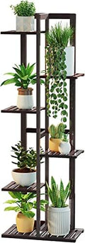 DolceLuna Plant Stand Indoor 6 Tier, Bamboo Plant Shelf Corner Flower Rack by DolceLuna