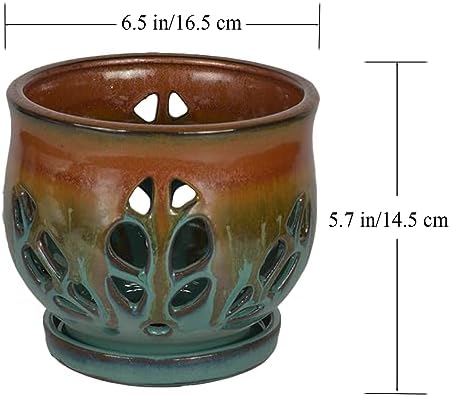 W&W Orchid Pot with Holes and Saucer for Repotting, Tan Mix, 6.5" - Image 6