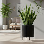 D'vine Dev Plastic Planter Pot with Metal Stand, Black, 14 in, 55-D-B-4 - Image 6