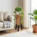 Wood Plant Stand, Indoor Plant Holder, Wooden Pot Stand for Plants - Image 4
