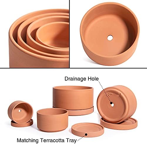 D'vine Dev Set of 4 Terracotta Shallow Planter Pots for Succulent, 3 Inch 4 Inch 5 Inch 6 Inch, Small Flower Plant Pots with Drainage and Saucer, 40-Z-0 - Image 5