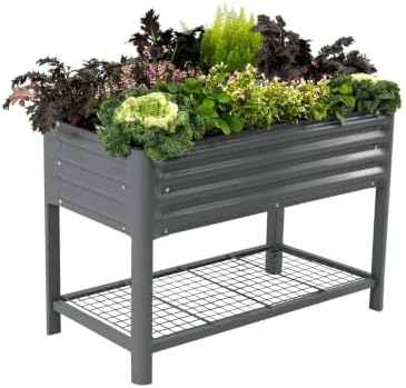 Vego garden Elevated Raised Garden Bed, 2' x 4' Outdoor Planters Boxes with Legs & Storage Rack for Patio, 700 Lbs Weight Capacity, Raised Beds for Gardening Herbs Vegetables, Modern Gray by Unknown