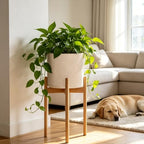 8 Inch Resin Plant Pots with Drainage Hole Round Decorative Flower Planter - Image 3