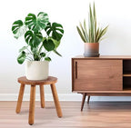 Round Solid Wooden Stool,Plant Stand,Step Stool,Walnut,15.8" H - Image 2