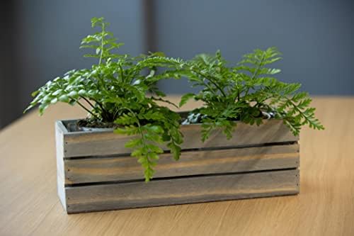 Wood Planter Box with Wine Crate Styled, 12x4 Inch Rectangular, Rustic Barn Wood, Plastic Liner, Wedding Flowers Holder, Home and Venue (12x4 Wine Crate Set of 4, Natural) - Image 3