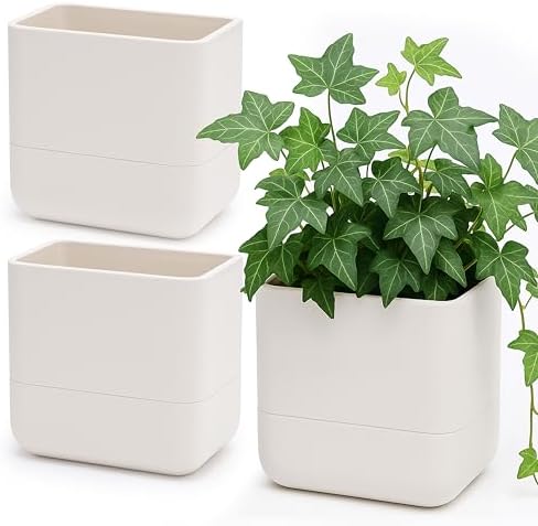 Phoenix Vine 6.5 Inch Wall Mounted Self-Watering Planter Pots for Indoor Houseplants and Herbs | Hanging Planter for Window Sills, Bathroom Walls, Home & Office Décor, Oatmeal, Set of 3, 01-C-G-3 by Phoenix+Vine