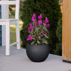Beuta Large Poly Planters for Outdoor Plants - Set of 3, 8/12/14 Inches Outdoor Planters for Porch - Tall Planter for Outdoor & Indoor Plants | Large Indoor Plant Pot - USA Made - Black - Image 5